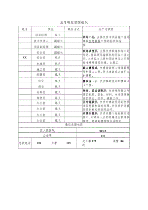 应急响应救援组织.docx