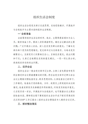 组织生活会制度.docx