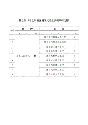 藤县2019年全科医生特设岗位公开招聘计划表.docx