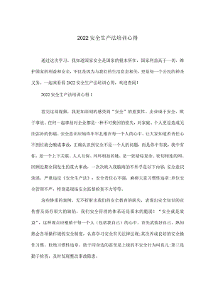 2022安全生产法培训心得.docx