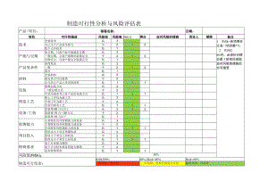 可行性分析与风险评估.docx