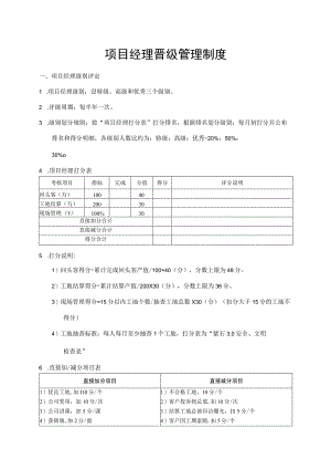 项目经理晋级管理制度.docx