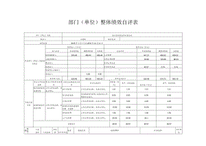 部门单位整体绩效自评表.docx