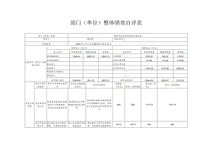 部门单位整体绩效自评表.docx