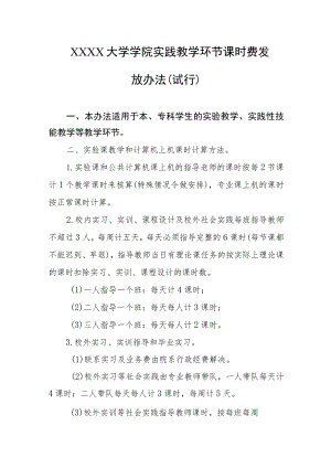 大学学院实践教学环节课时费发放办法（试行）.docx