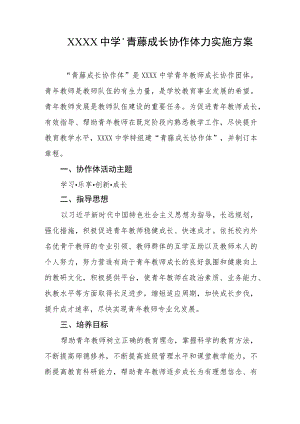 中学“青藤成长协作体”实施方案.docx