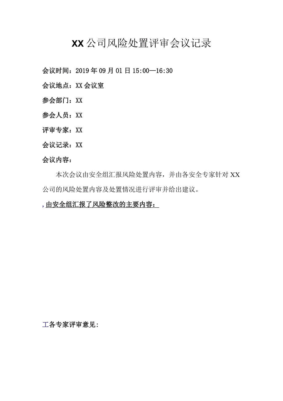 风险处置评审会议记录.docx_第1页