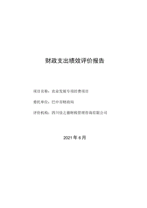 财政支出绩效评价报告.docx
