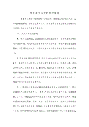 棉花遭受风灾的预防措施.docx