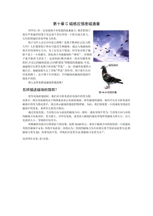 第十章C磁感应强度磁通量.docx