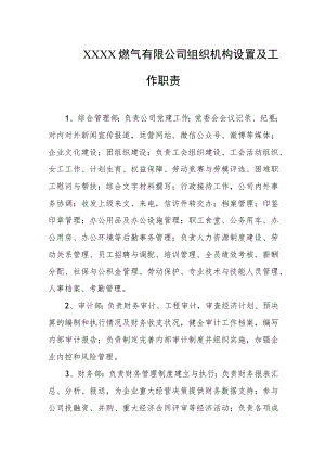 燃气有限公司组织机构设置及工作职责.docx