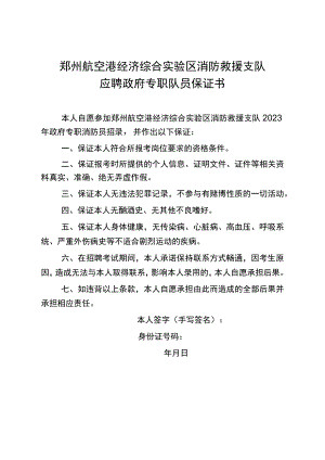 郑州航空港经济综合实验区消防救援支队.docx