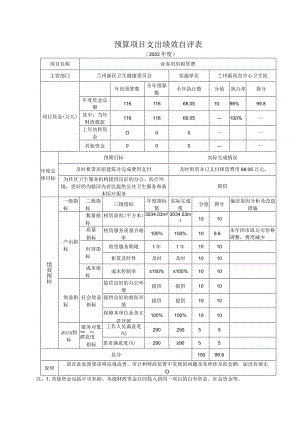 预算项目支出绩效自评表.docx