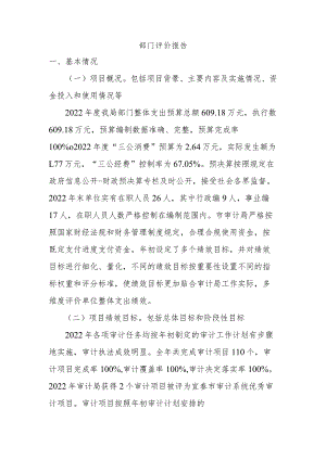 部门评价报告.docx