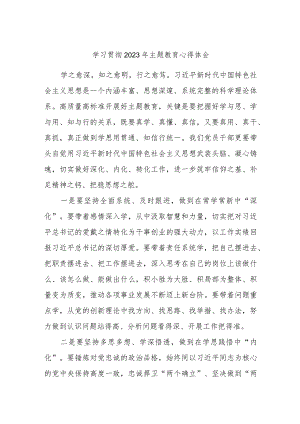 学习贯彻2023年主题教育心得体会.docx
