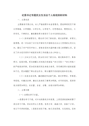 纪委书记专题民主生活会个人检视剖析材料.docx