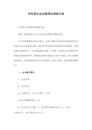 市民营企业发展情况调查问卷.docx