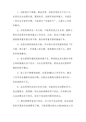 在市委常委会巡视整改专题民主生活会对政法委书记提出的批评意见.docx