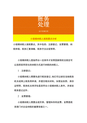 小规模纳税人报税要点分析.docx
