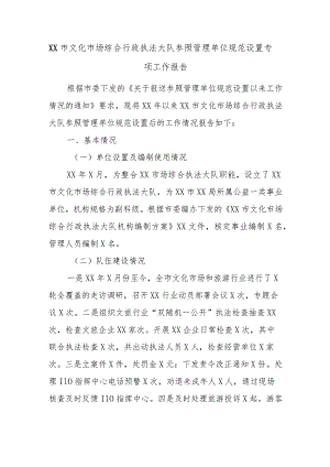 XX市文化市场综合行政执法大队参照管理单位规范设置专项工作报告.docx