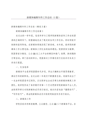 新媒体编辑年终工作总结（3篇）.docx