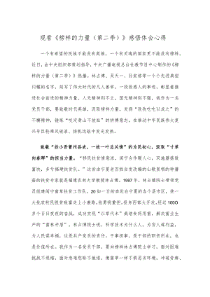 观看《榜样的力量（第二季）》感悟体会心得.docx
