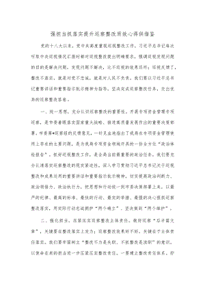 强担当抓落实 提升巡察整改质效心得供借鉴.docx