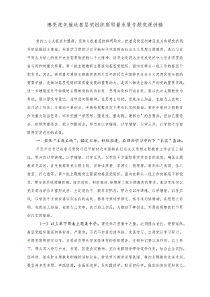 （2篇）擦亮底色推动基层党组织高质量发展专题党课讲稿+党组理论学习中心组交流研讨发言稿.docx
