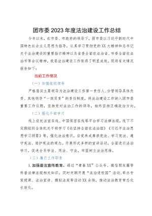 团市委2023年度法治建设工作总结.docx