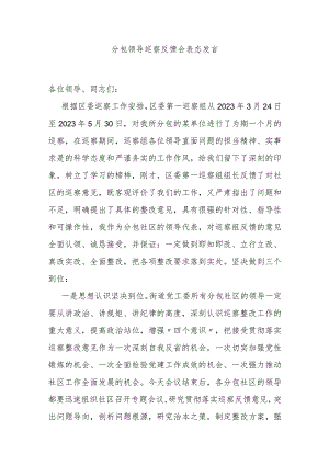 分包领导巡察反馈会表态发言.docx