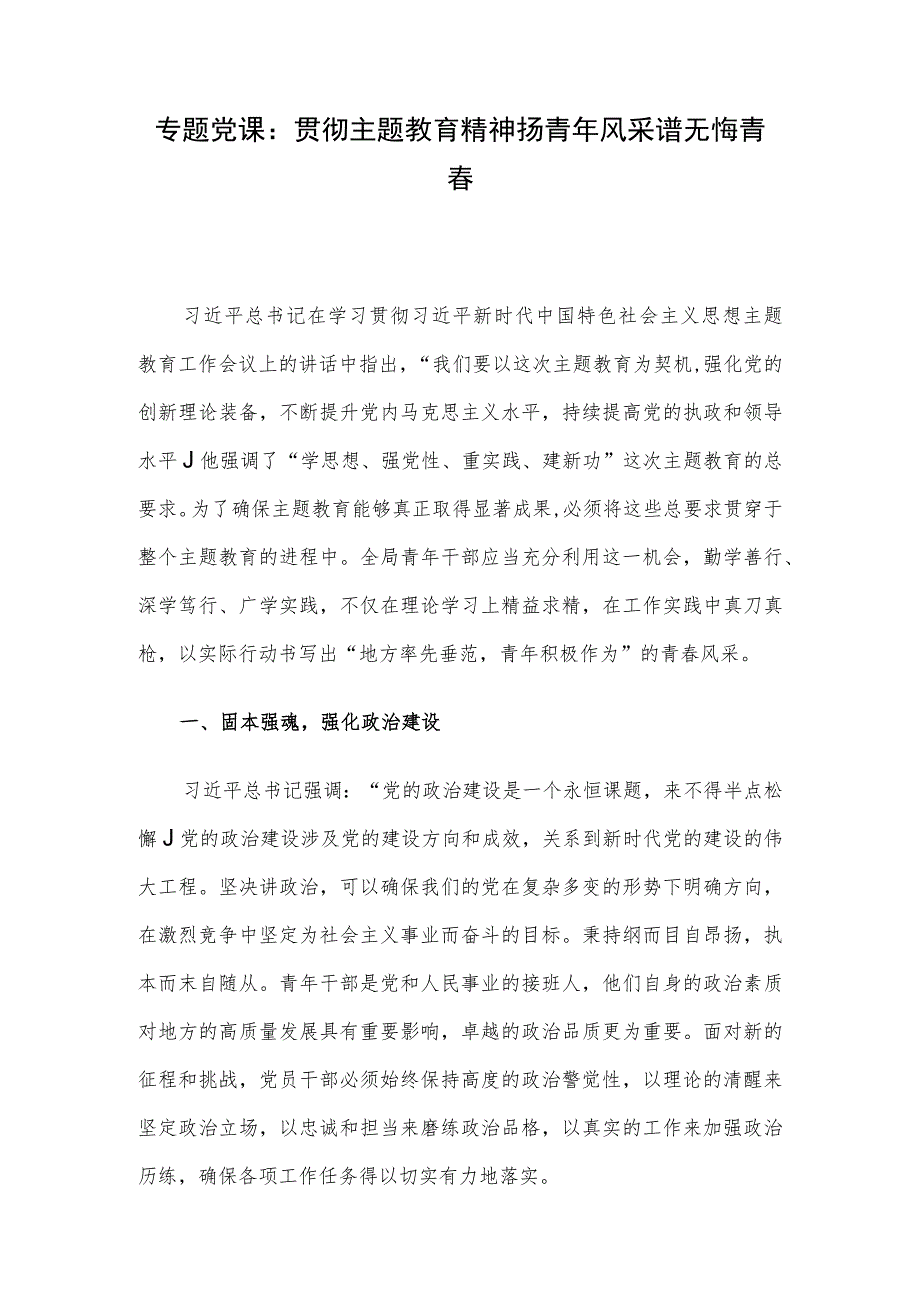 专题党课：贯彻主题教育精神 扬青年风采 谱无悔青春.docx_第1页