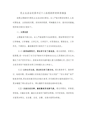 民主生活会纪委书记个人检视剖析材料供借鉴.docx