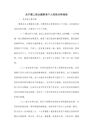 关于第二批主题教育个人党性分析报告.docx