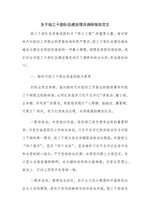 关于组工干部队伍建设情况调研报告范文.docx
