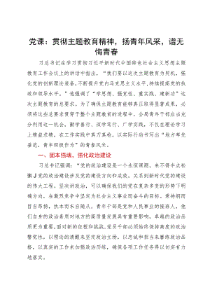 党课：贯彻主题教育精神 扬青年风采 谱无悔青春.docx