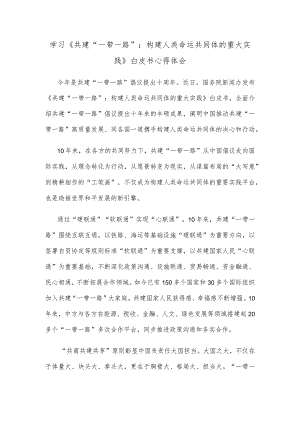学习《共建“一带一路”：构建人类命运共同体的重大实践》白皮书心得体会.docx