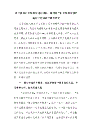 政法委书记主题教育研讨材料：推进第二批主题教育锻造新时代过硬政法铁军范文.docx