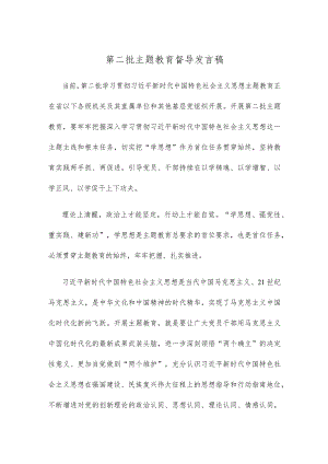 第二批主题教育督导发言稿.docx