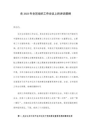 在2023年全区组织工作会议上的讲话提纲.docx