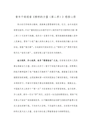青年干部观看《榜样的力量（第二季）》感悟心得.docx