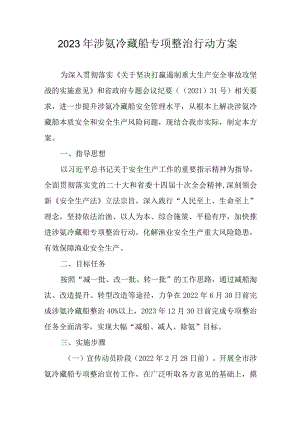2023年涉氨冷藏船专项整治行动方案.docx