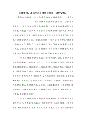 党课讲稿：加强年轻干部教育培养.docx