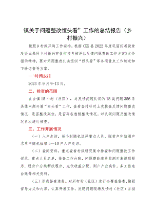 镇关于乡村振兴问题整改“回头看”工作总结报告.docx
