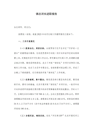 镇总河长述职报告.docx
