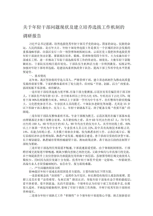关于年轻干部问题现状及建立培养选拔工作机制的调研报告.docx