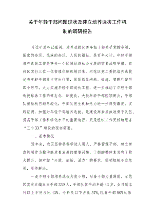 关于年轻干部问题现状及建立培养选拔工作机制的调研报告.docx
