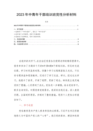 2023年中青年干部培训班党性分析材料.docx