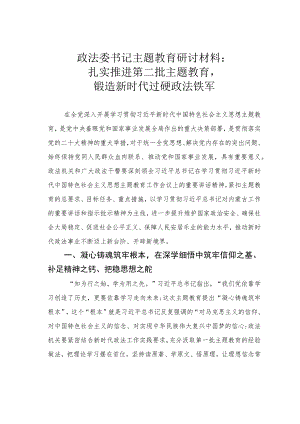 政法委书记主题教育研讨材料：扎实推进第二批主题教育锻造新时代过硬政法铁军.docx