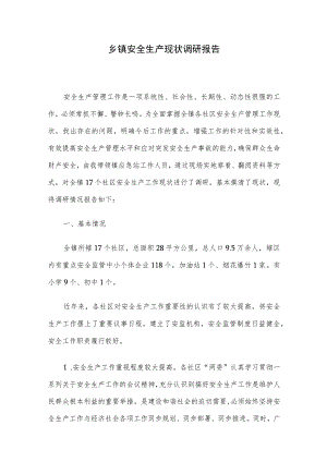乡镇安全生产现状调研报告.docx