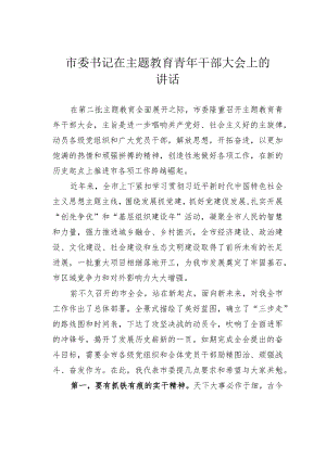 市委书记在主题教育青年干部大会上的讲话.docx